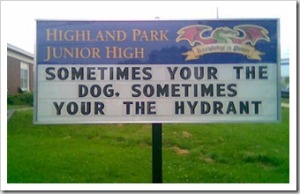 dog-and-hydrant